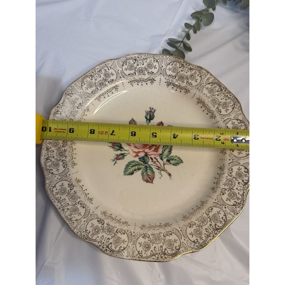 Vintage Dominion Briar Rose Dinner Plate Gold Filigree Elegant Fine China 10.5" - Picture 9 of 9